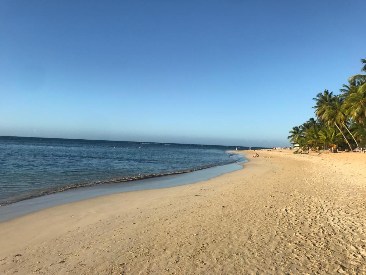 Cozy Oceanfront Villa With Direct Beach Access 拉斯特拉纳斯 外观 照片