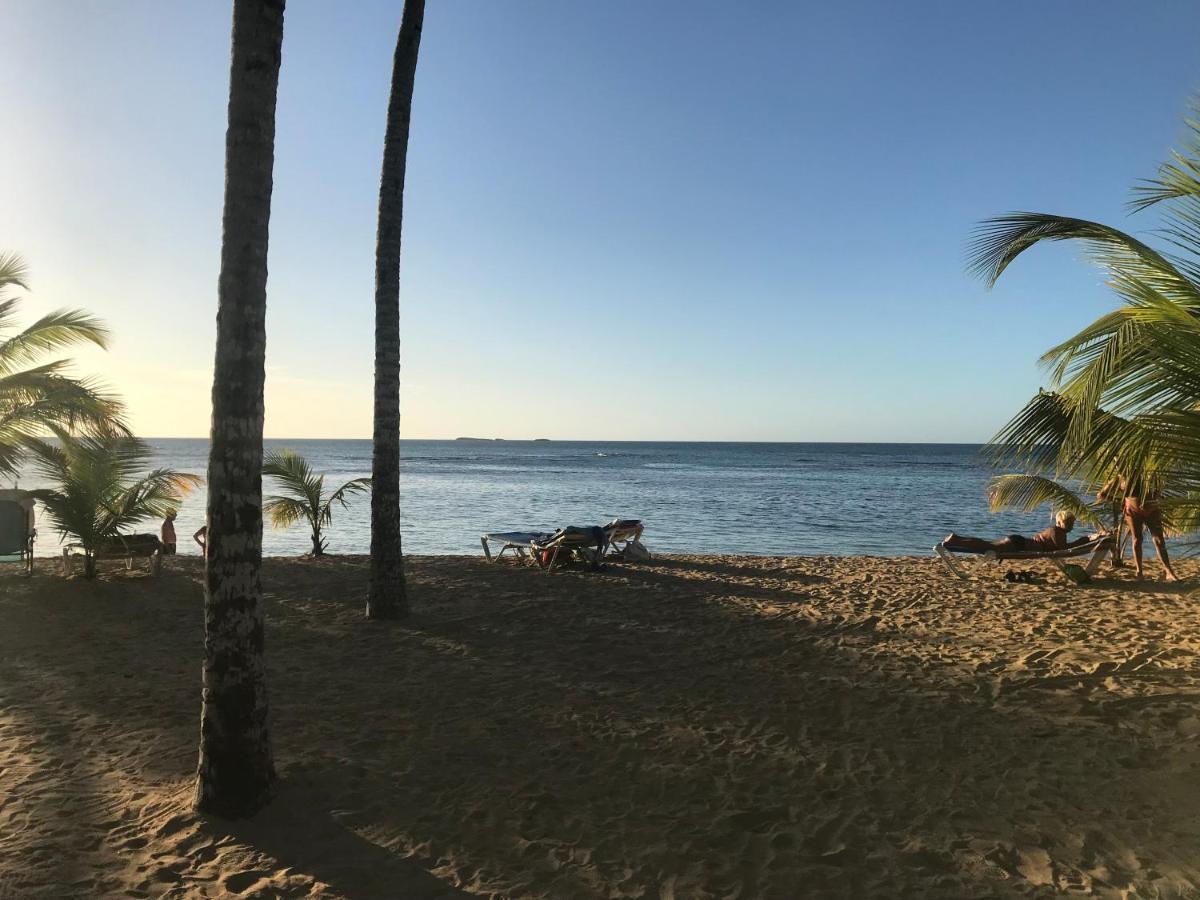 Cozy Oceanfront Villa With Direct Beach Access 拉斯特拉纳斯 外观 照片